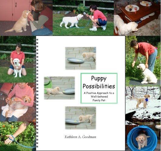 Puppy Possibilities Flyer